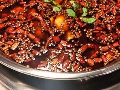 -味之绝热血美蛙鱼火锅(中坝店)