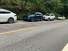 -铁山坪森林公园