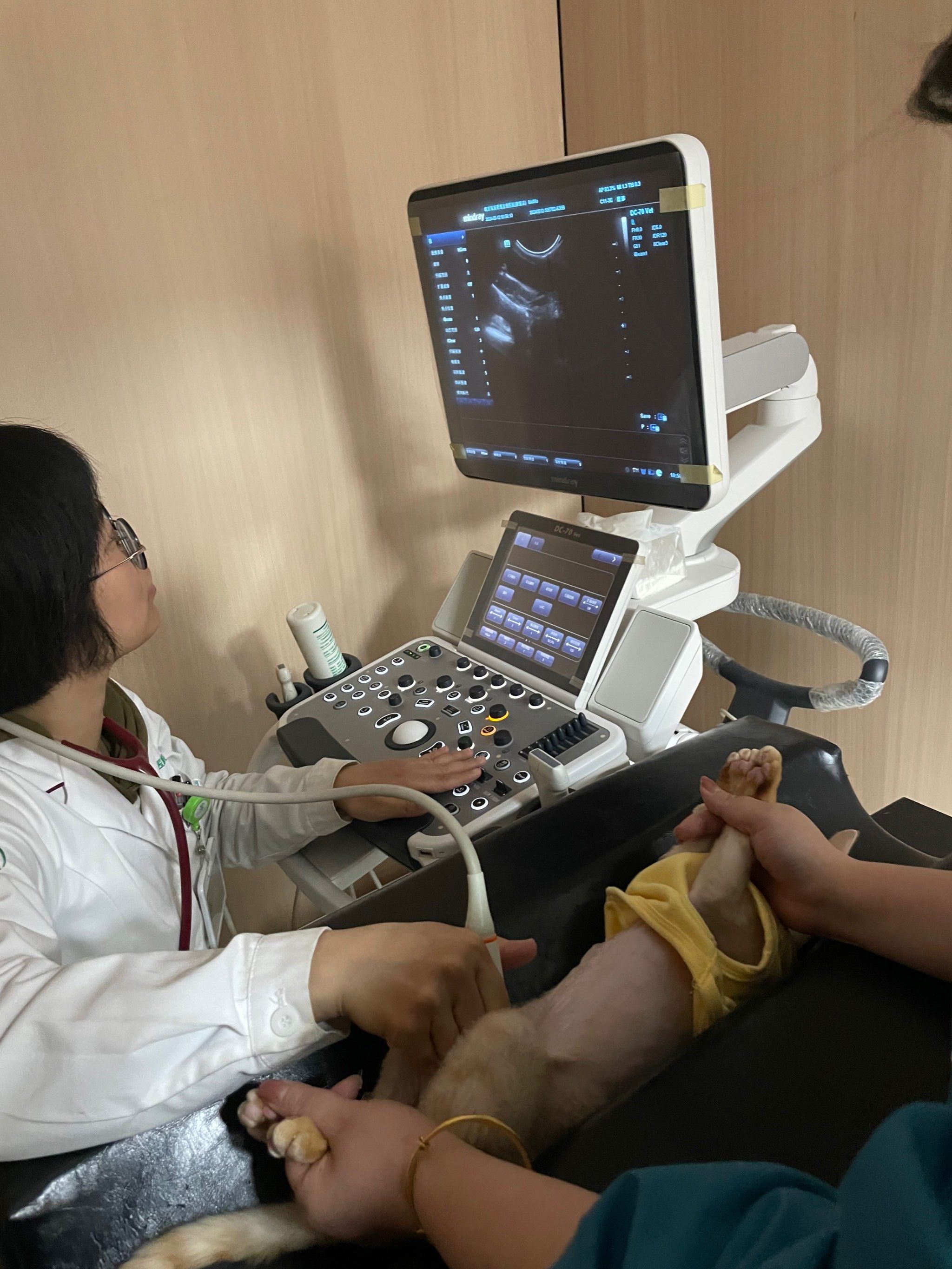 博爱医院就医助手检查加急-博爱医院就医助手检查加急多少钱 