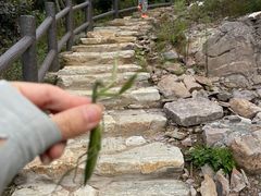 -鬼笑石后山停车场