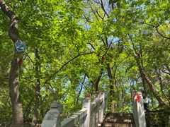 -宝通禅寺