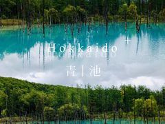 -青池