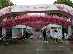 -南汇桃花村