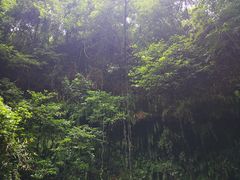 -海口火山口国家地质公园