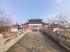 -苏州上方山国家森林公园