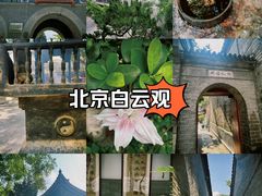 -白云观