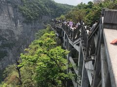 -张家界大成山水国际大酒店
