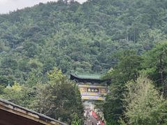 -姑婆山旅游区