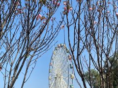 -观澜湖生态运动公社
