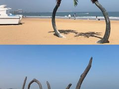 -东夷海鲜巨无霸(东夷小镇店)