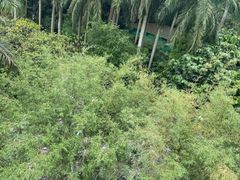 -广州长隆野生动物世界