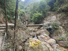 -南海湾森林生态园