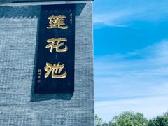 -莲花池公园
