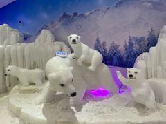 -宁波冰雪大世界(北仑区)