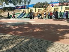 -大兴滨河森林公园