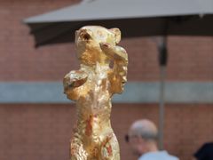 -西安电影制片厂