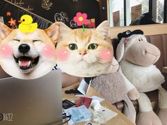 -ZOO COFFEE动物园咖啡(望京锐创店)