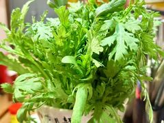 -芦月轩羊蝎子(劲松店)