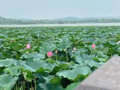 -云龙湖旅游景区