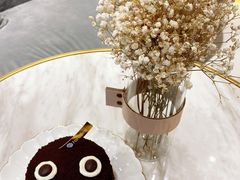 煤球芝士-Foresee 梵晞(北美N1店)
