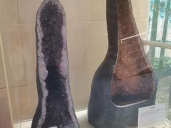 -延庆地质公园博物馆