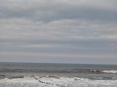 -日照海滨国家森林公园