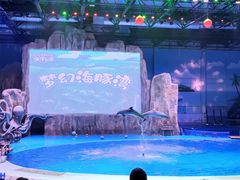 -华夏文旅海洋公园