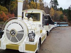 -五营红松林海景区