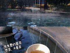 -麦积山温泉