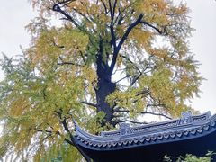 -惠山古镇·寄畅园