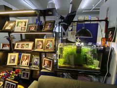 -鸿达摄影KEEP LOVE家庭肖像馆·身份证照(宝山万达广场店)