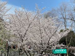 -南京城墙景区