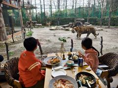 -上海野生动物园老虎餐厅