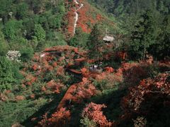 -岳西天峡风景区
