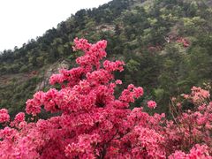 -木兰云雾山
