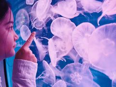 -福州罗源湾海洋世界旅游区