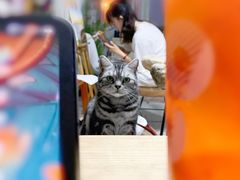 -CoCo都可(北新桥店)