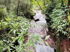 -碧峰峡风景区