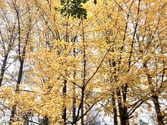 -兰溪青年公园