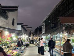 -嘉兴月河历史街区