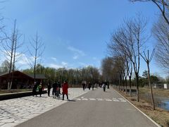 -东郊湿地公园