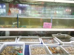 水产区-林记象山海鲜(广灵二路店)