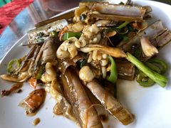 -南沙十九涌渔人码头-南门