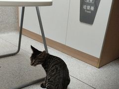 -谐和贝康宠物医院24小时·宠保定点(急重症转诊中心)
