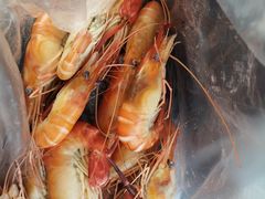 -会江钓鱼钓虾烧烤场