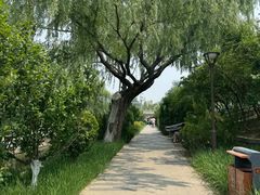-元大都城垣遗址公园