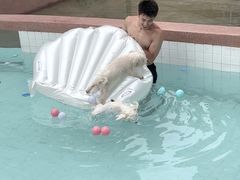 -帕帕拉兹宠物(亚洲旗舰店)