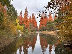 -东平国家森林公园