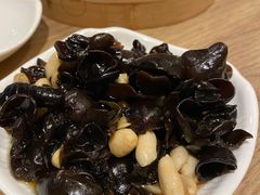 老醋木耳花生-阳阳中国饭(北京荟聚店)