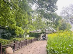 -绍兴鲁迅故里·沈园景区